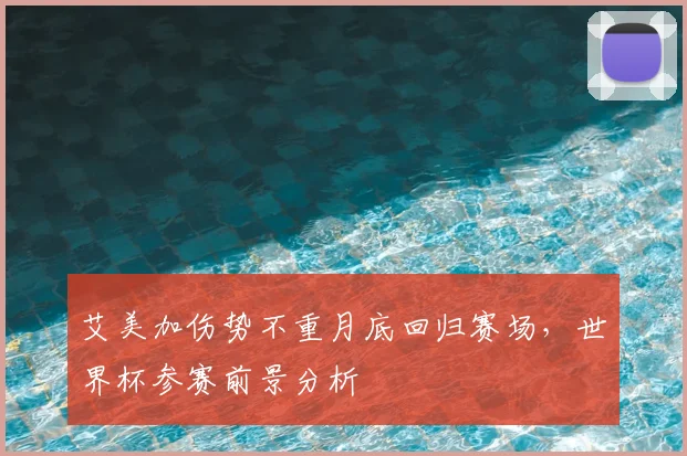 艾美加伤势不重月底回归赛场,世界杯参赛前景分析